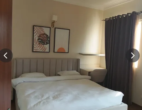 3 BHK Semi Furnished Apartment for rent in JMD MEGAPOLIS Gurugram
