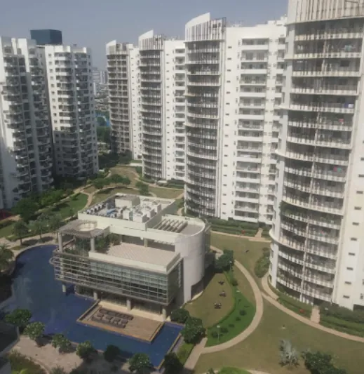 3 BHK Fully Furnished Independent Floor for rent in C323+P7C Palm Gurugram